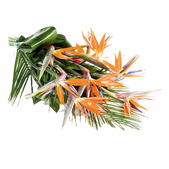 Flower Bouquet Paradiso