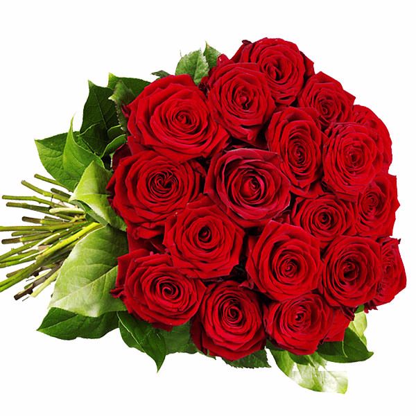 Red Premium roses