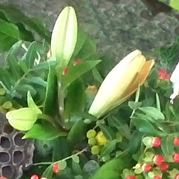 Sympathy Wreath with red roses