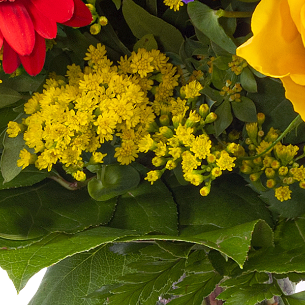Blumenstrauß Blütenfee mit Vase & Ferrero Giotto 3er