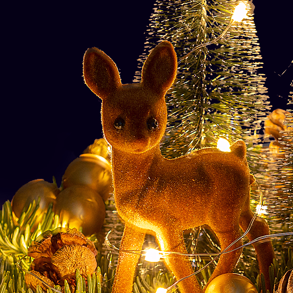 Winter Dream on Wood with X-Mas lights