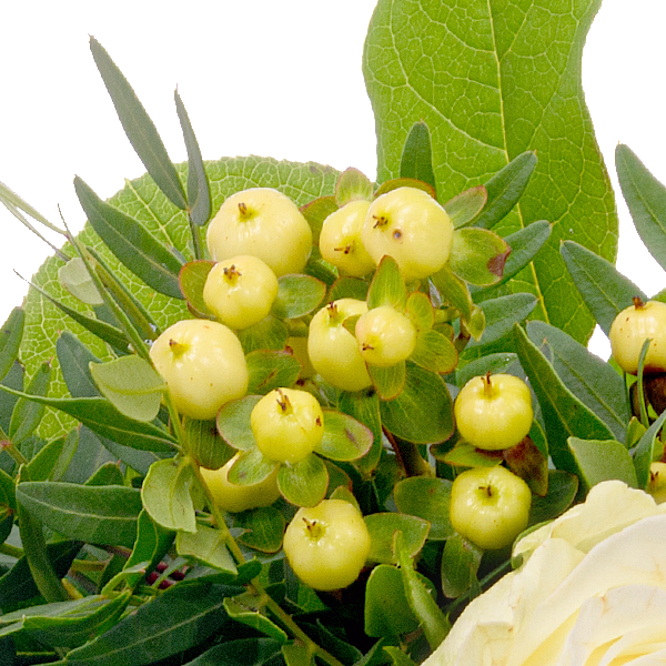 Liegestrauß in Weiß