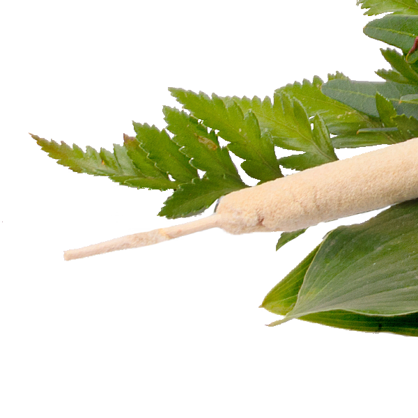 Liegestrauß in Weiß