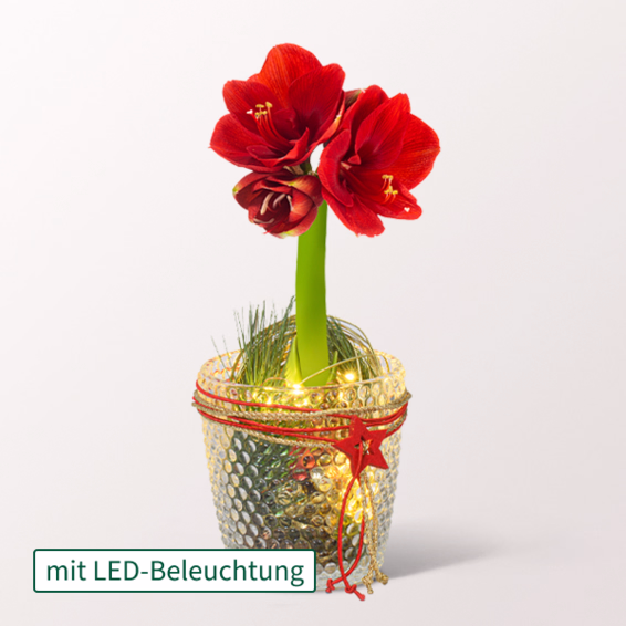 Weihnachtszauber im Glas