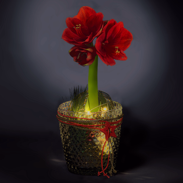 Winter Wonderland in a Glass