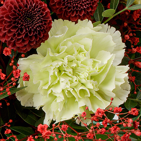 Blumenstrauß Winterzeit mit Vase & Ferrero Giotto 3er