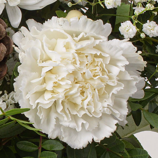 Flower Bouquet Sternennacht with vase & 3 Ferrero Giotto