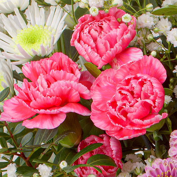 Blumenmix Wintergefühl mit Ferrero Giotto 3er