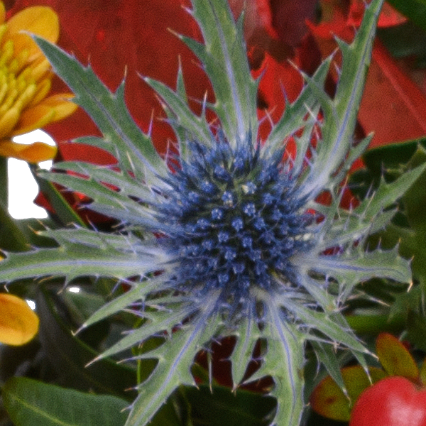 Sympathy Bouquet Abschiedsgruß