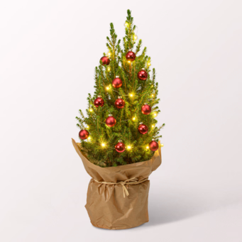 Weihnachtsbaum Merry Christmas mit LED-Beleuchtung & mit Ferrero Giotto 3er