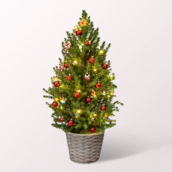 X-Mas Tree Weihnachtsmärchen with X-Mas lights & with 3 Ferrero Giotto