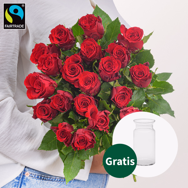 Rote Fairtrade Rosen im Bund mit Vase