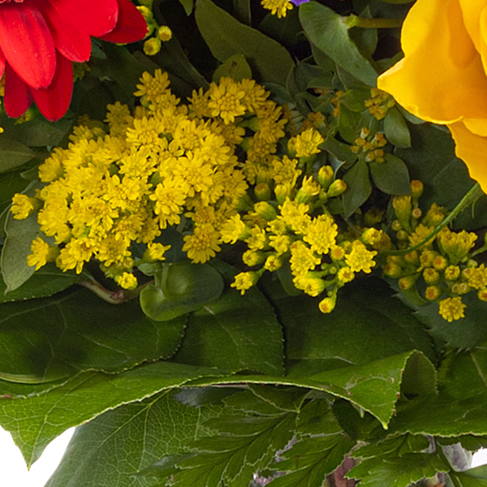 Flower Bouquet Blütenfee with vase & 3 Ferrero Giotto