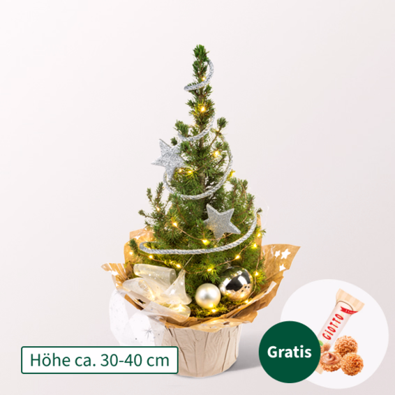 Weihnachtsbaum Sternenglanz mit Lichterkette & mit Ferrero Giotto 3er