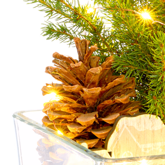 Weihnachtsbaum Weihnachtsstimmung mit Lichterkette & mit Ferrero Giotto 3er