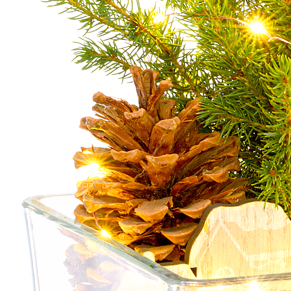 X-Mas Tree Weihnachtsstimmung with X-Mas lights & with 3 Ferrero Giotto