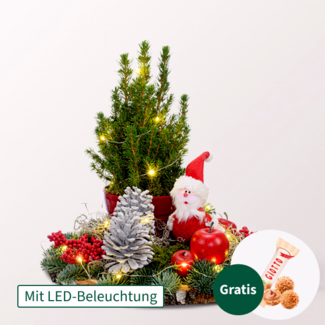 Arrangement Santa mit Lichterkette & mit Ferrero Giotto 3er