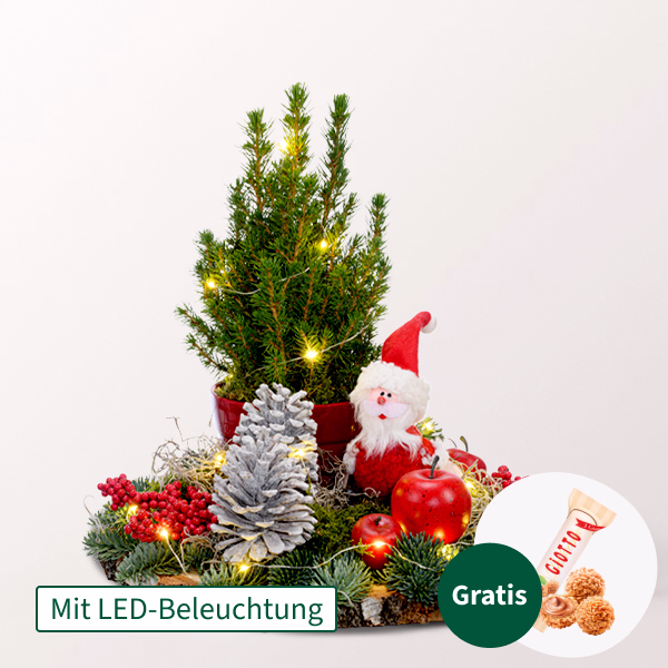 Arrangement Santa mit Lichterkette & mit Ferrero Giotto 3er