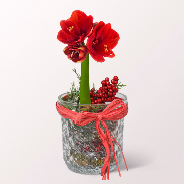 Christmas Magic in a Glass