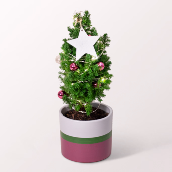 Weihnachtsbaum Sweet Christmas mit Lichterkette