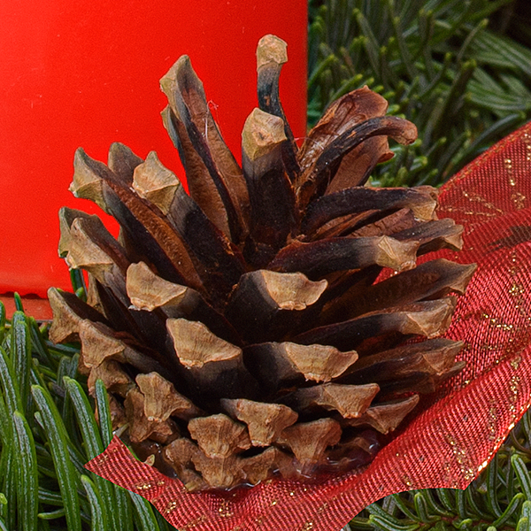 Adventskranz Red Glory (Ø 25 cm) mit Ferrero Giotto 3er