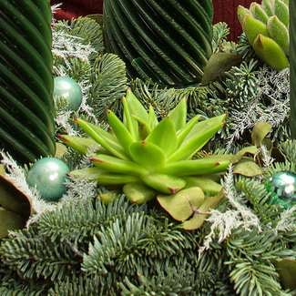 Adventskranz Winterbote (Ø 40 cm) mit Ferrero Giotto 3er