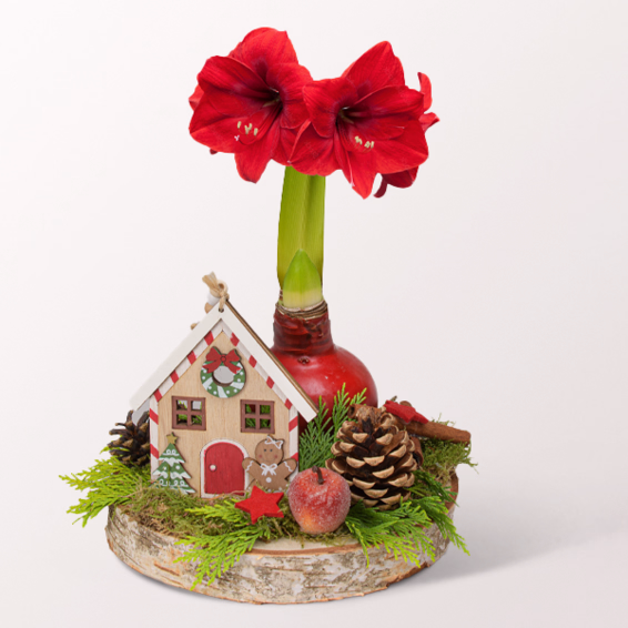 Christmas Arrangement Frohe Weihnachten