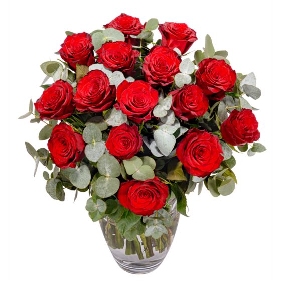 Rote Premiumrosen