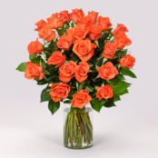 Oranger Rosenstrauß mit Vase