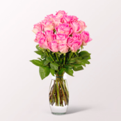 20 pinke Fairtrade Rosen im Bund mit Vase