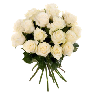 White Roses in a bunch