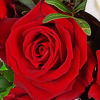 Rosenstrauß mit Vase Nur für Dich