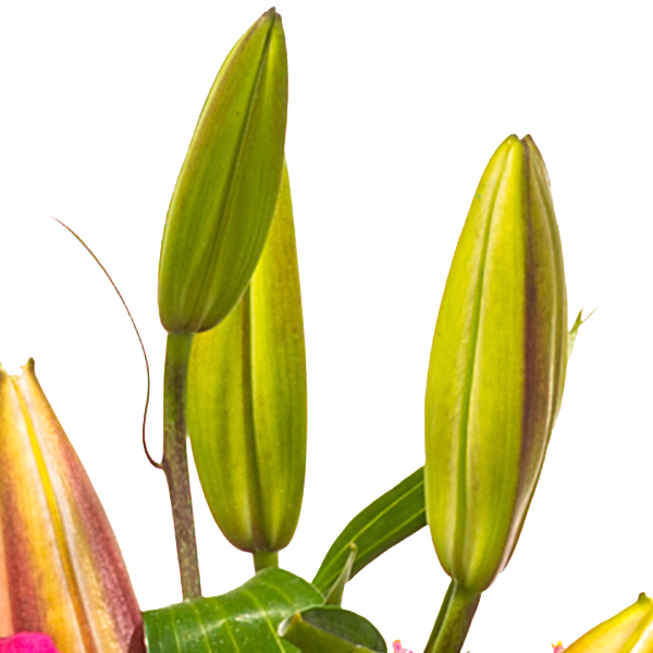 Trauerkranz mit rosa Lilien