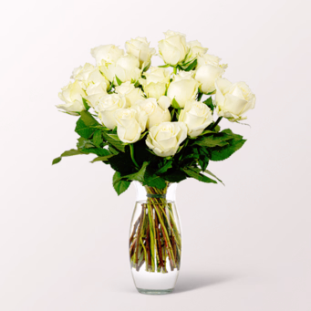 Bunch of  20 white Fairtrade roses with vase