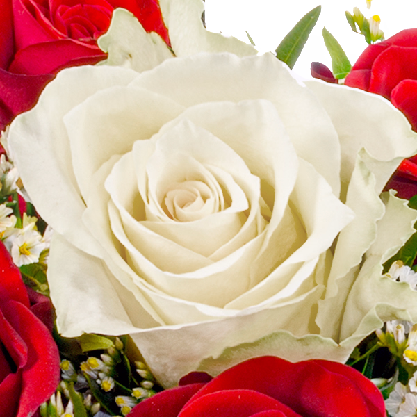 Rose Bouquet Romeo with vase & 3 Ferrero Giotto