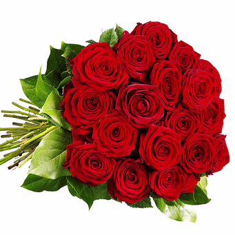 Red Premium roses