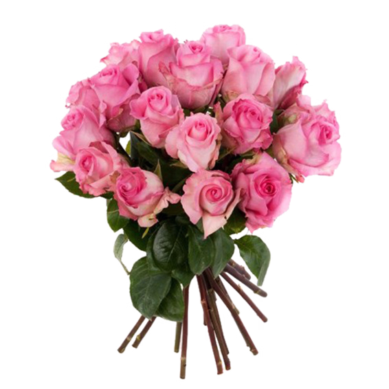 Pink Roses in a bunch