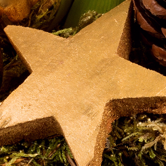Red Amaryllis in a Pot