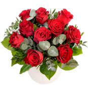 Bouquet of red roses