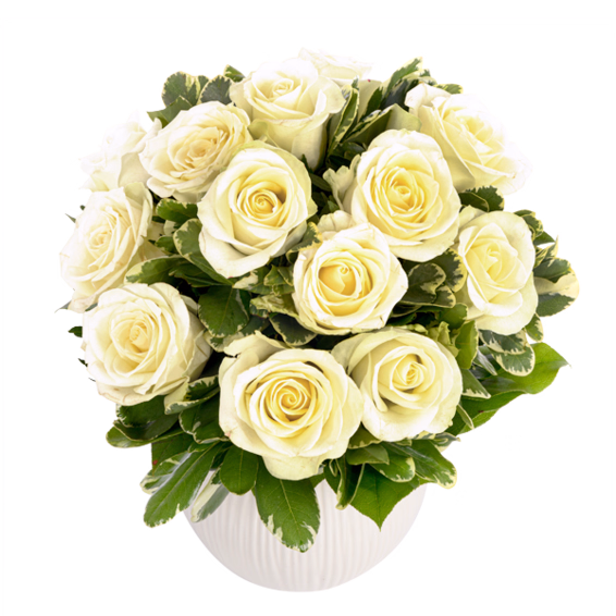 Bouquet of white roses