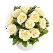 Bouquet of white roses