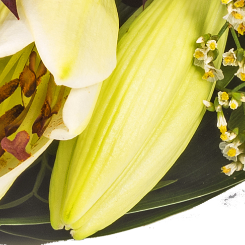Sympathy Bouquet in white and red