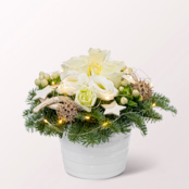 Arrangement Winterwunderland mit Lichterkette