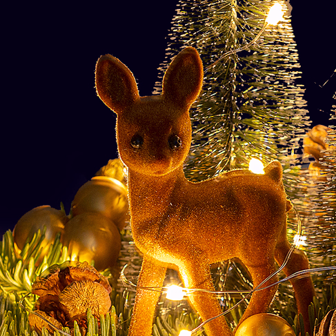 Winter Dream on Wood with X-Mas lights