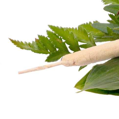 Sympathy Bouquet in White