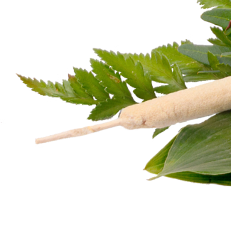 Sympathy Bouquet in White