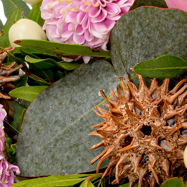 Sympathy Heart Dankbarkeit und Liebe