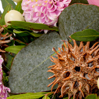 Sympathy Heart Dankbarkeit und Liebe