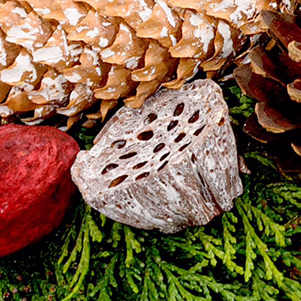 Sympathy Wreath Erinnerung