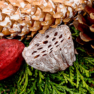 Trauerkranz Erinnerung